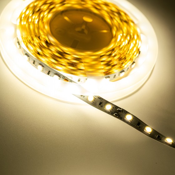 Fita Led 9000-12000K-60Leds/mt-12W/mt-12V-IP66